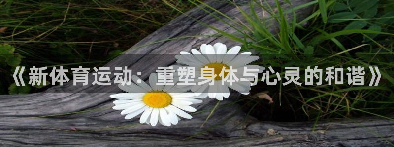 意昂3体育官网入口登录