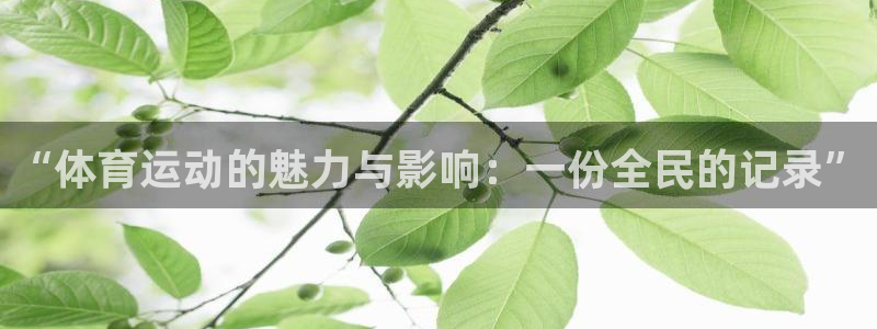 意昂3体育官网入口登录