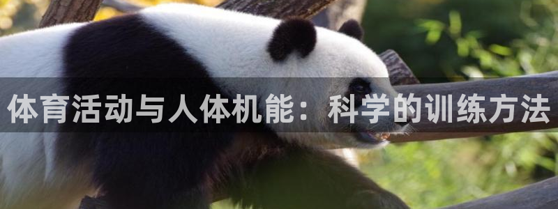 意昂3体育凯捷登陆