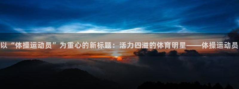 上海意昂3汽车电子有限公司