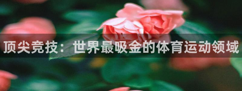 意昂3体育凯捷平台主管
