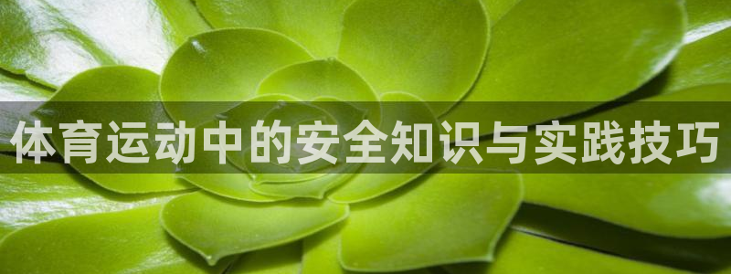 意昂3体育app下载