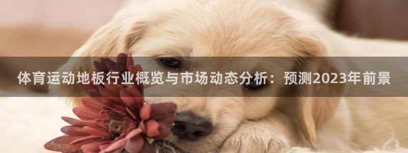 意昂33登陆