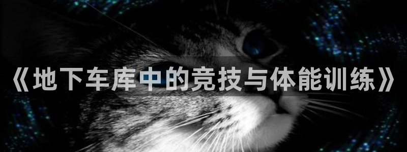 意昂32体育登录入口