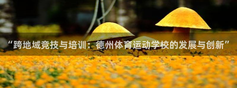 意昂33平台注册
