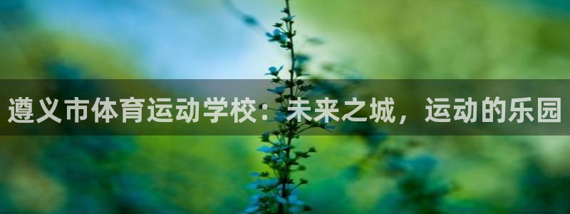 意昂3体育凯捷登陆