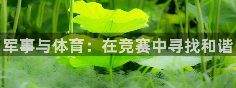 意昂32代理注册