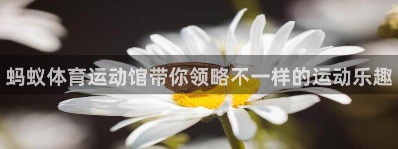 意昂3体育凯捷平台主管