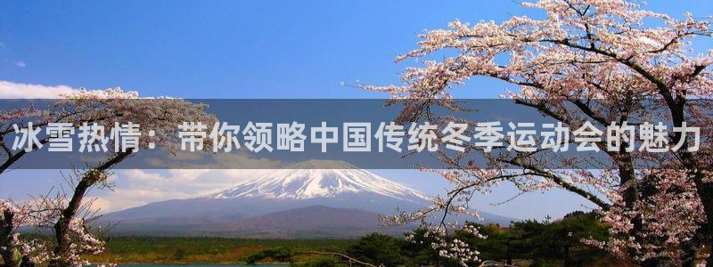 意昂3体育官网入口登录