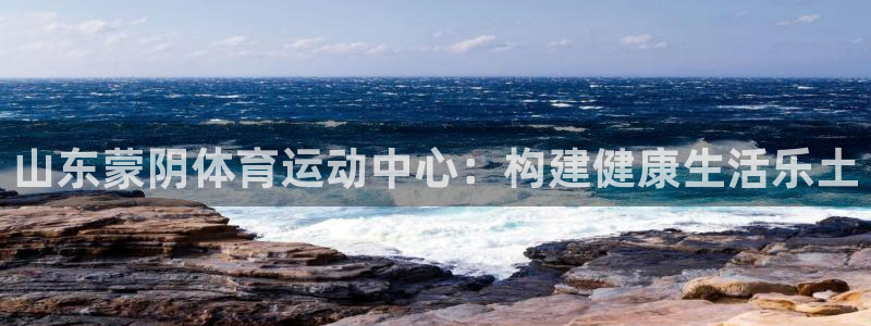 上海意昂3汽车电子有限公司