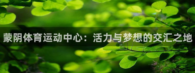 意昂33登陆