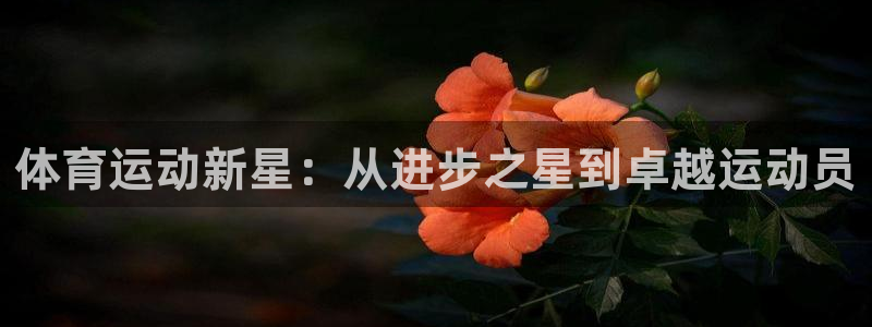 意昂3体育老板是谁