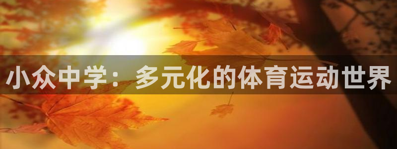 意昂3体育凯捷平台主管