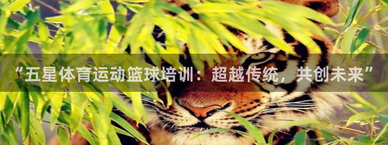 意昂3体育和杏耀是哪个公司的