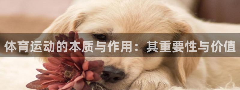 意昂3官网入口